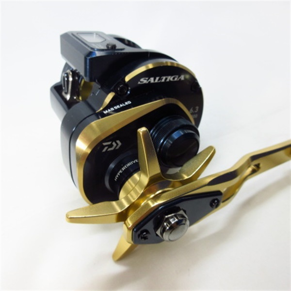 ２１ソルティガＩＣ３００ ６．３ 左